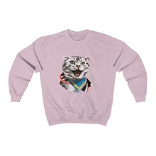 Load image into Gallery viewer, Happy Excited Cat - #TeamPete - Sweatshirt