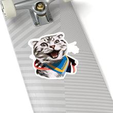 Load image into Gallery viewer, Happy Excited Cat - #TeamPete - Kiss-Cut Stickers