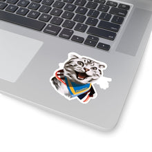 Load image into Gallery viewer, Happy Excited Cat - #TeamPete - Kiss-Cut Stickers
